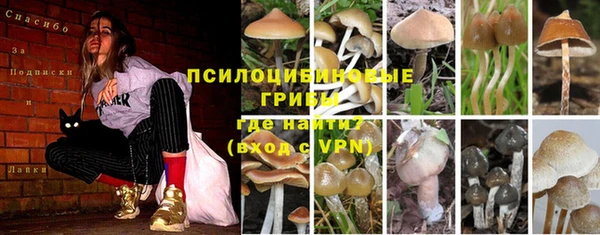 молекула духа Володарск