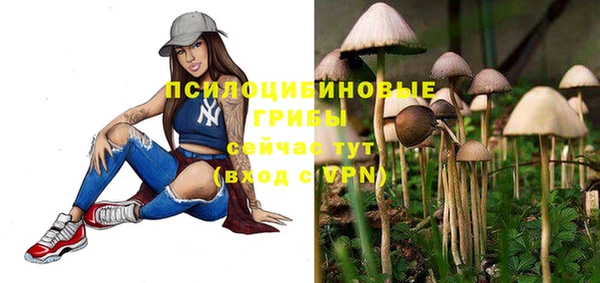 молекула духа Володарск