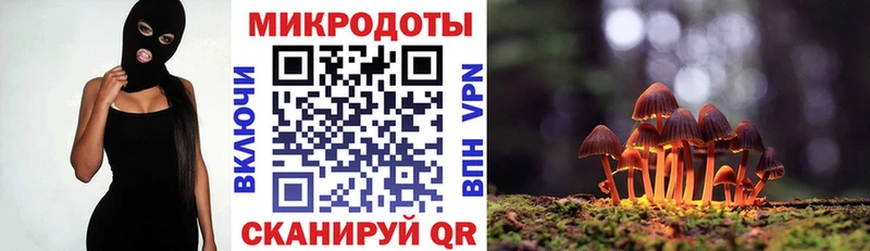 Купить где  Среднеколымск  Галлюциногенные грибы Cubensis 